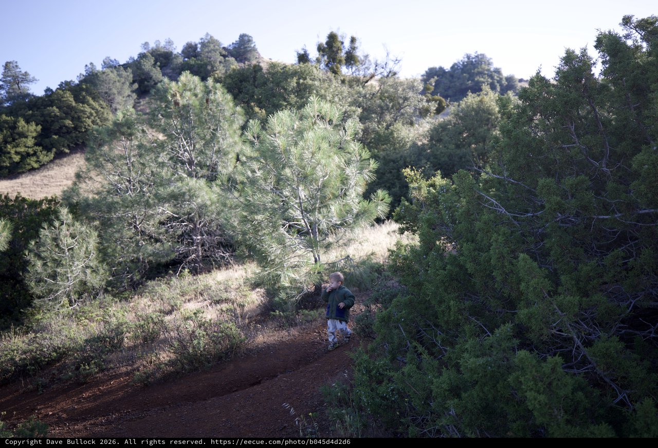 Tiny Explorer on a Sunlit Mountain Trail