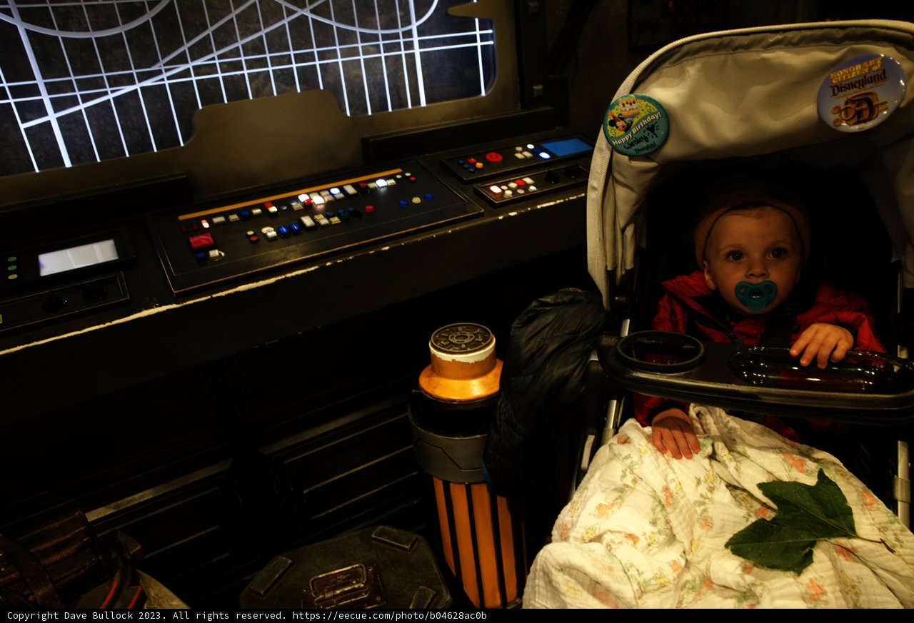 Baby's First Disneyland Adventure