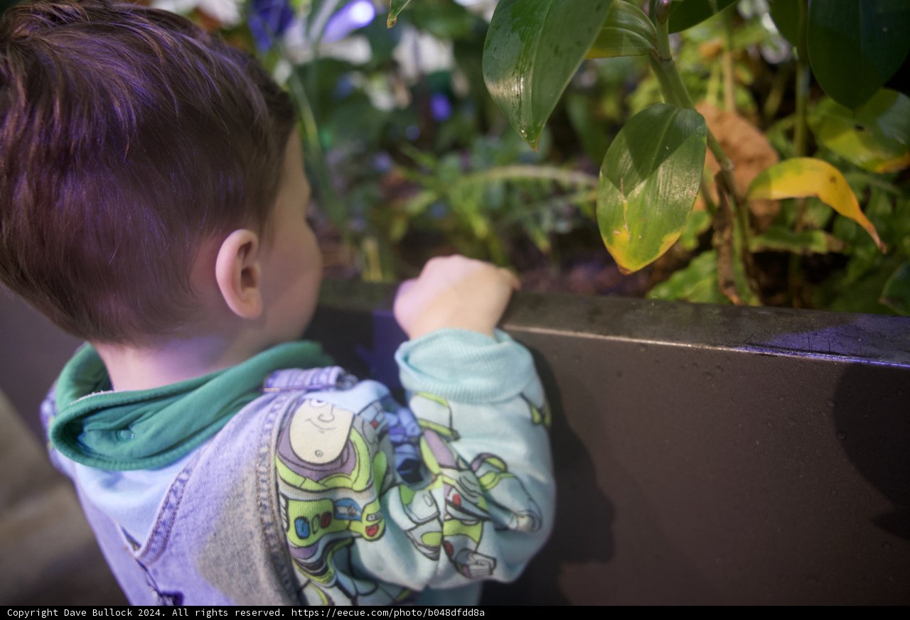 Rediscovering Nature: A Young Boy's Adventure