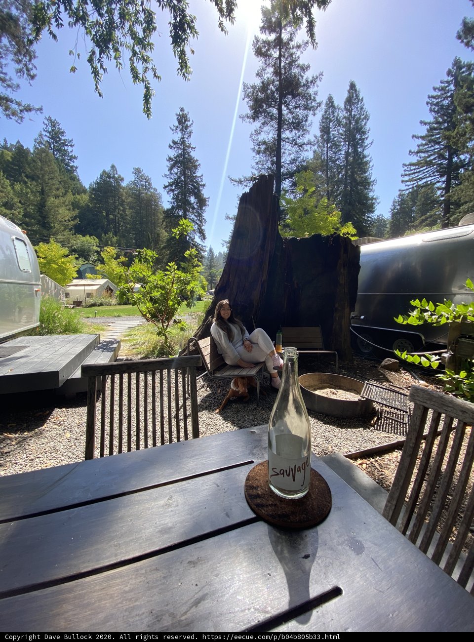 A Summer Afternoon with Wine and Nature