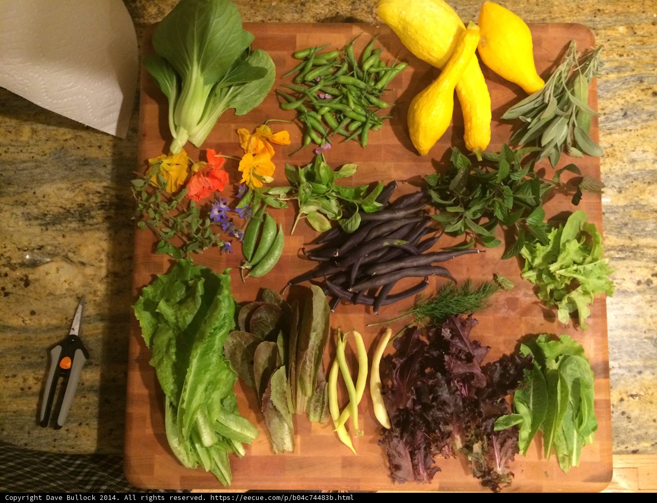 Freshly Chopped Produce for a Delicious Meal