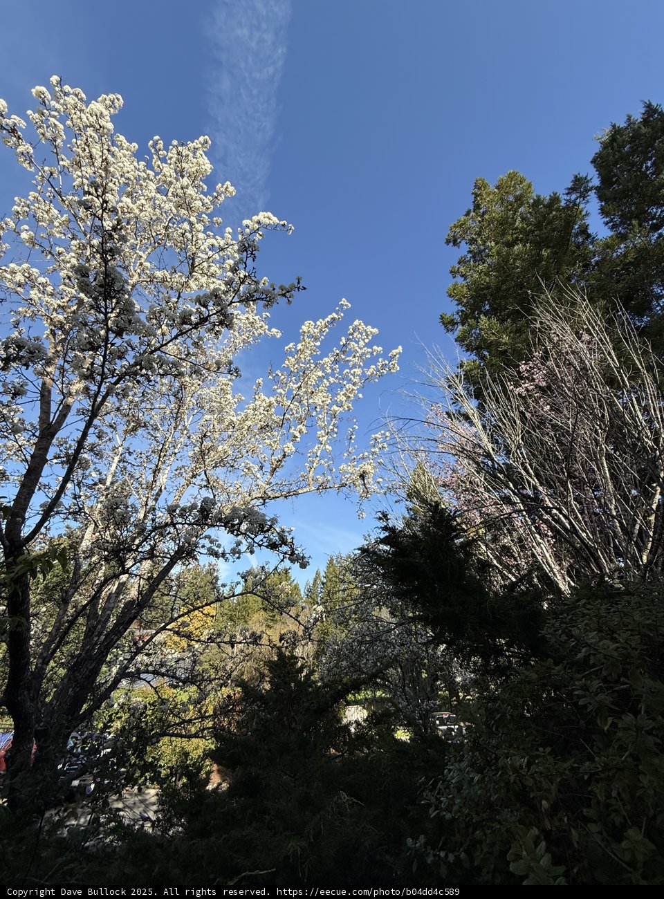 Enchanting Moments in March