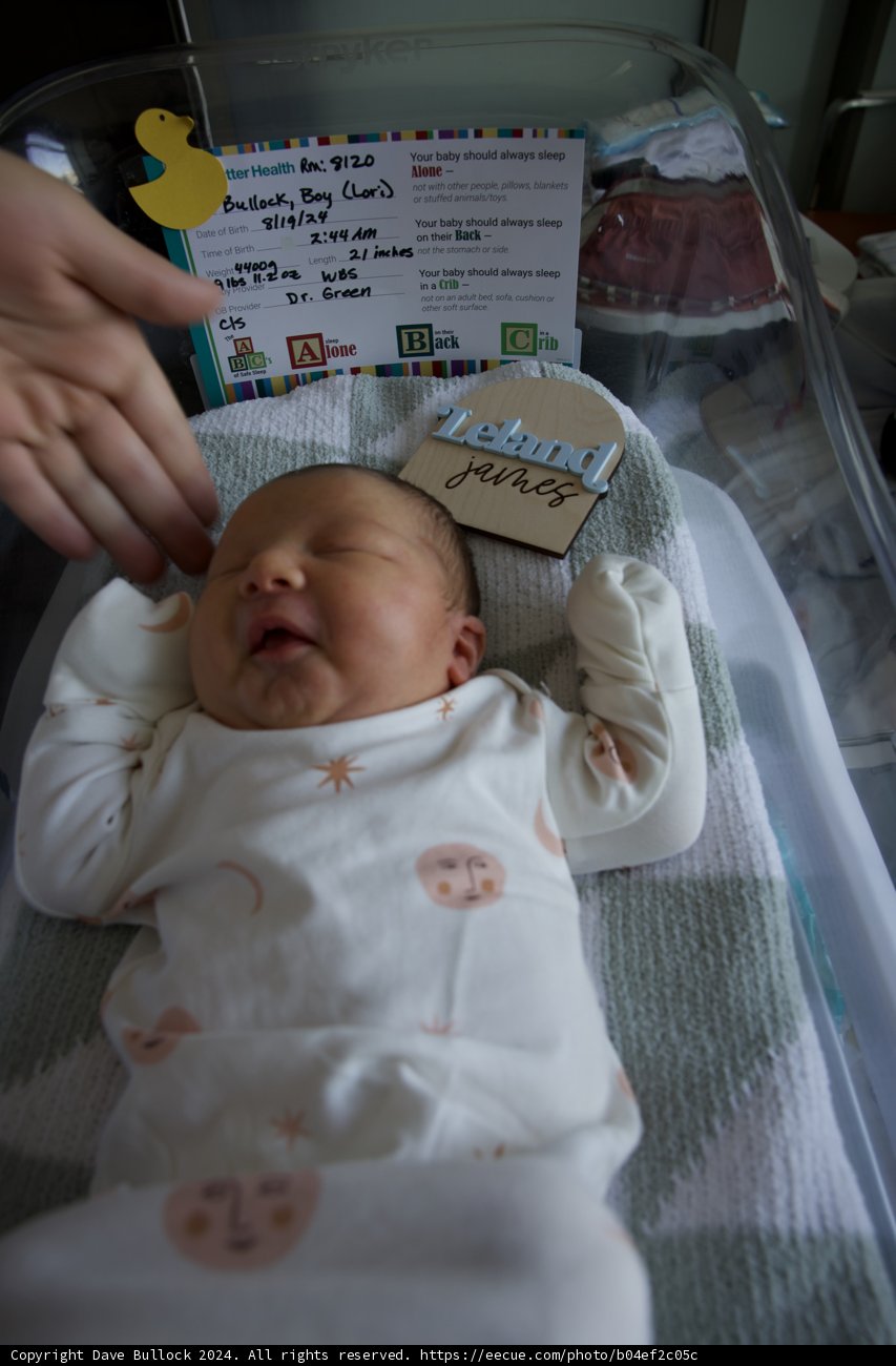 Welcome to the World, Leland