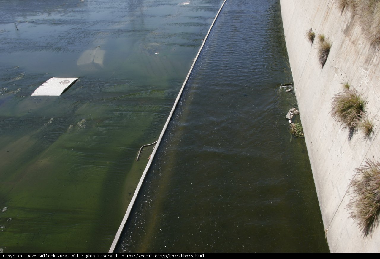Serene Canal View