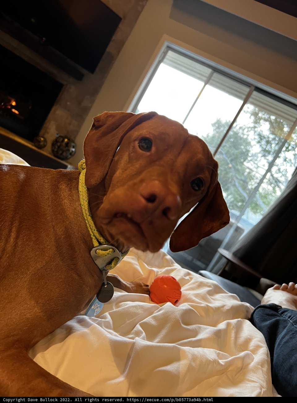 Lazy Days