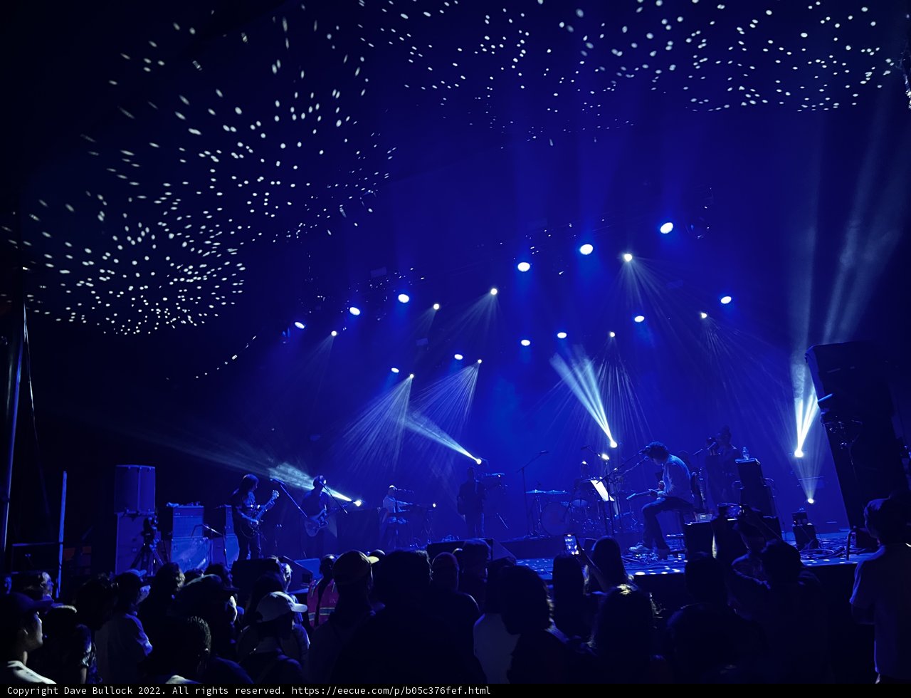 Spotlight on the Rock Concert Crowd