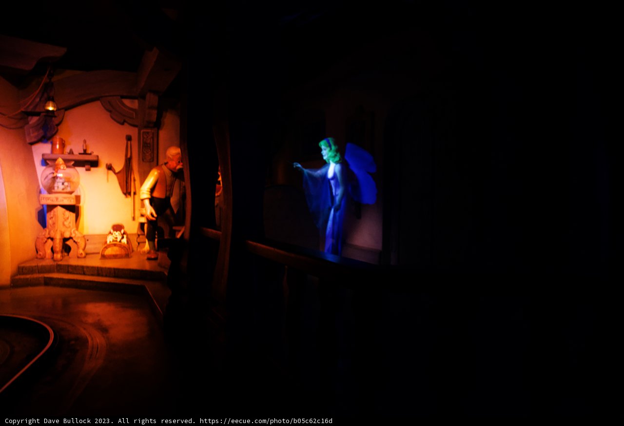 Illuminated Encounter