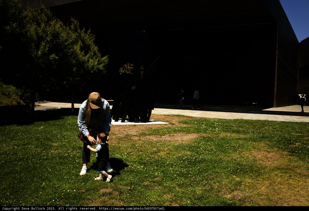 Basking in Nature: An Afternoon of Play