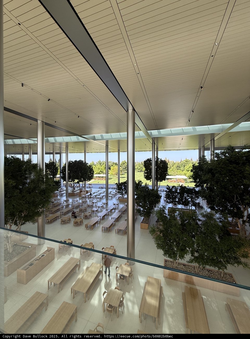 Modern Oasis at Apple Park