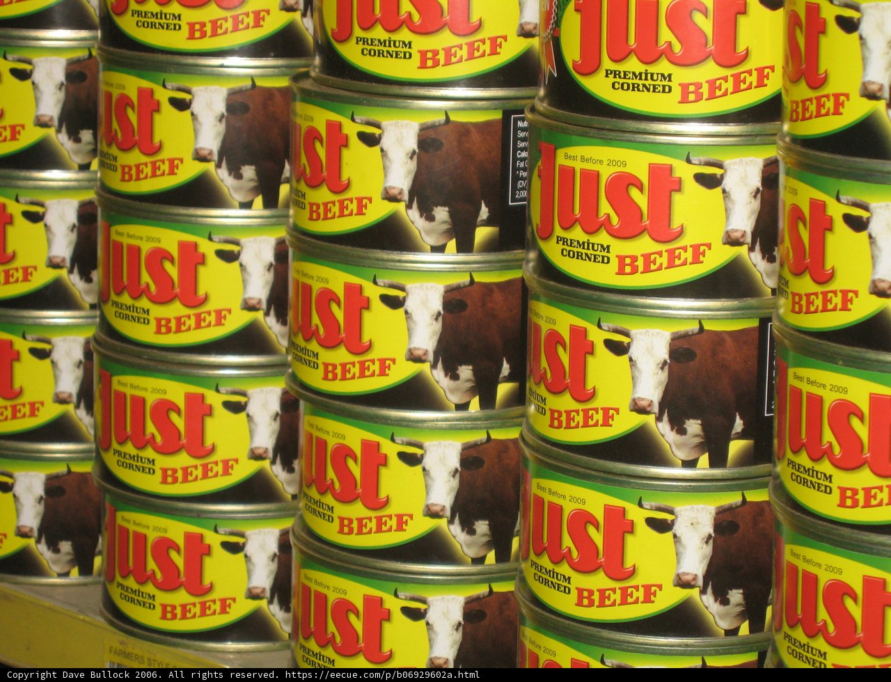 Just Beef in Cans