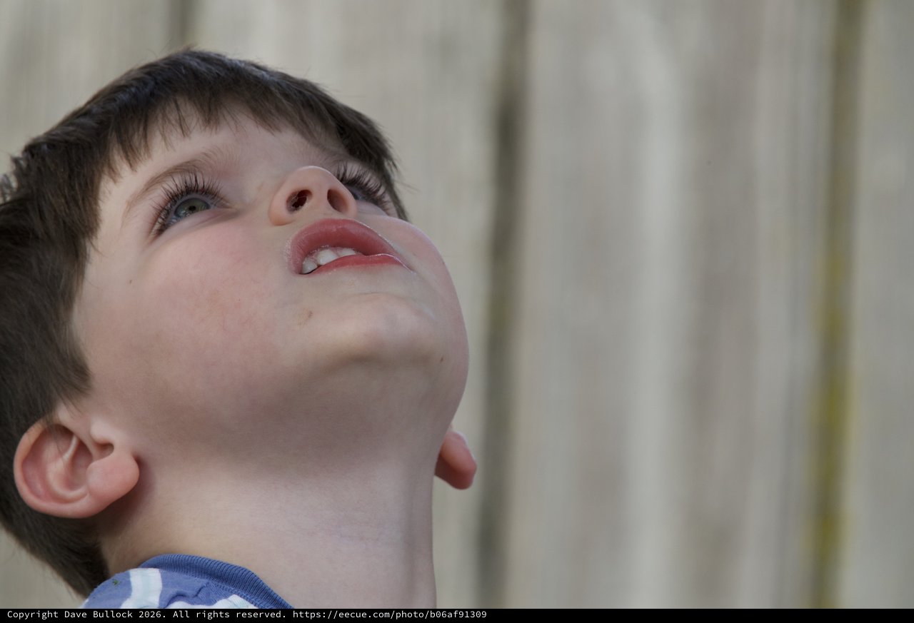 Child Looking Up in Wonder and Curiosity