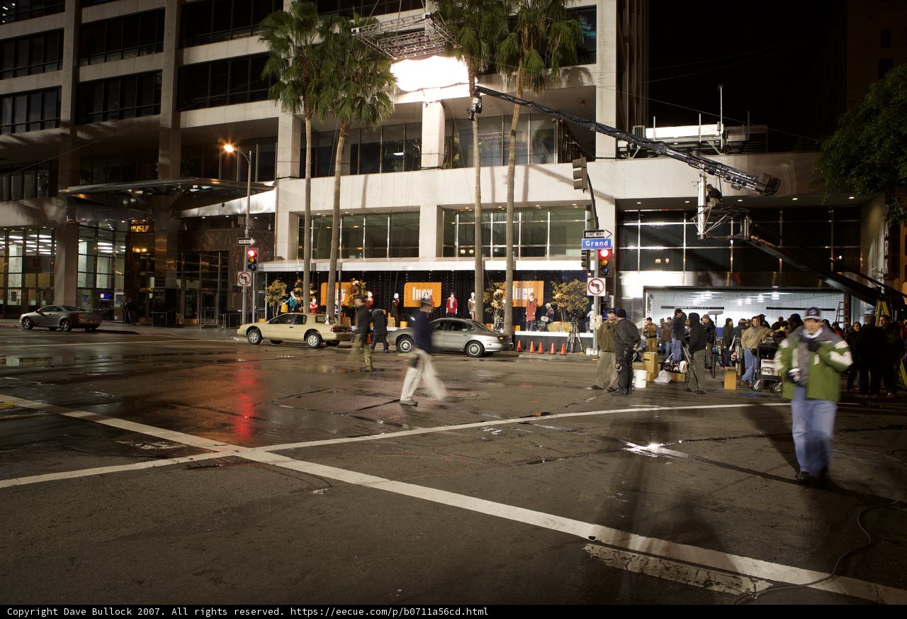 Night Stroll in the Urban Jungle