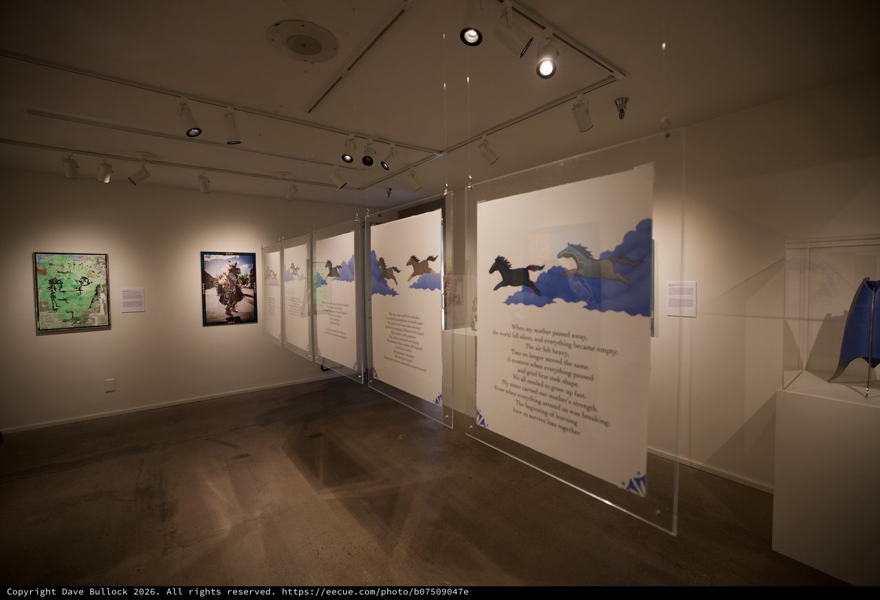 Contemporary Art Gallery Exhibition with Illustrated Panels Display
