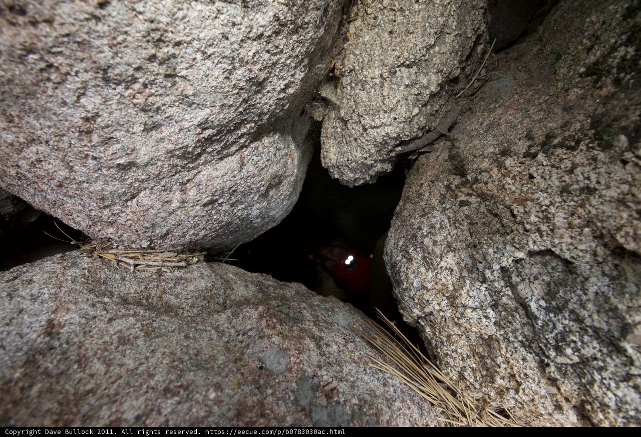 Mystery in the Cave