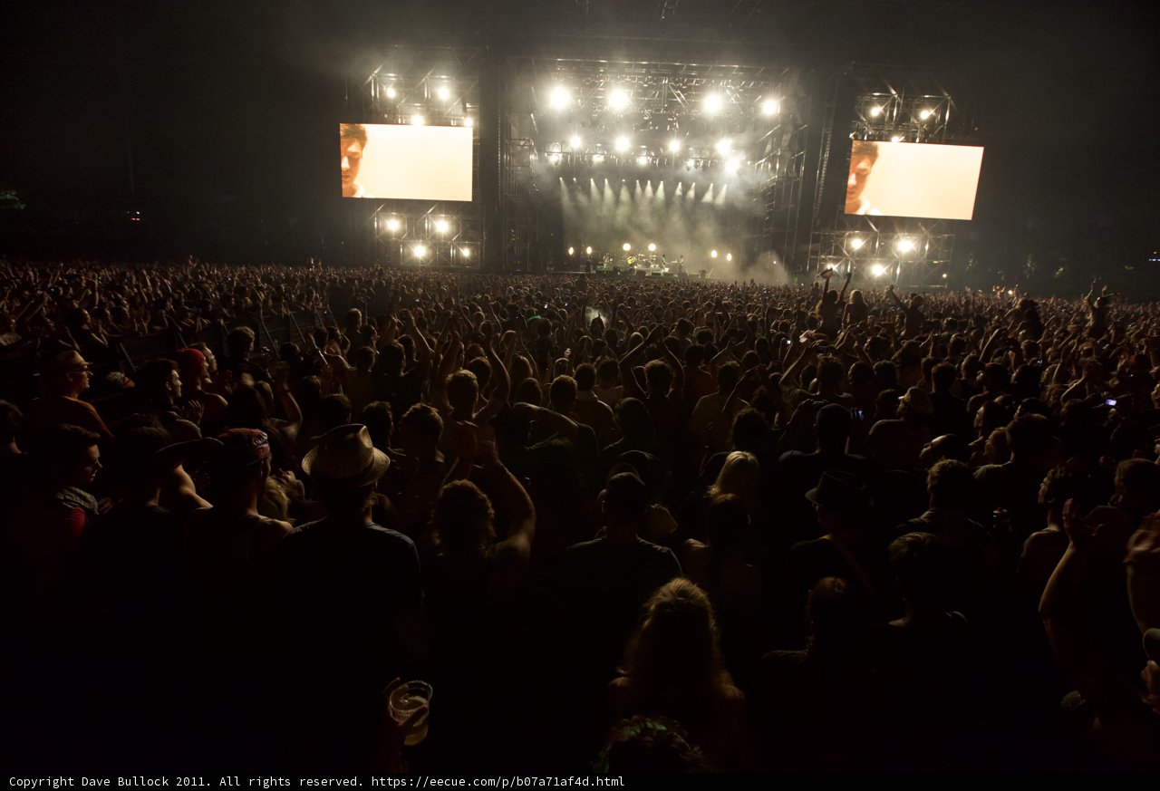 Rockin' the Night Away