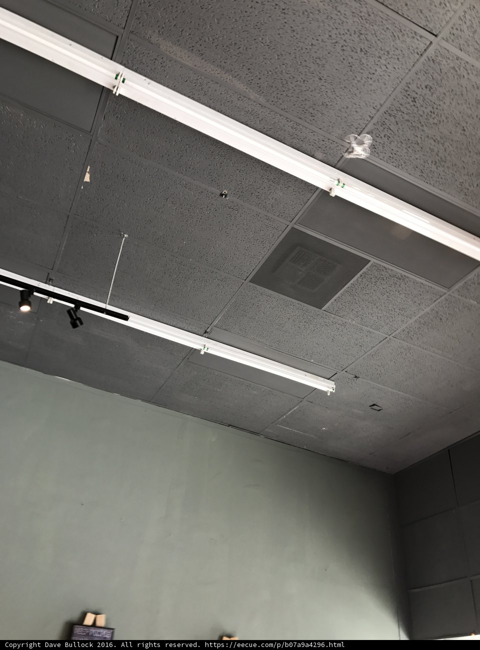 Illuminating Elegance