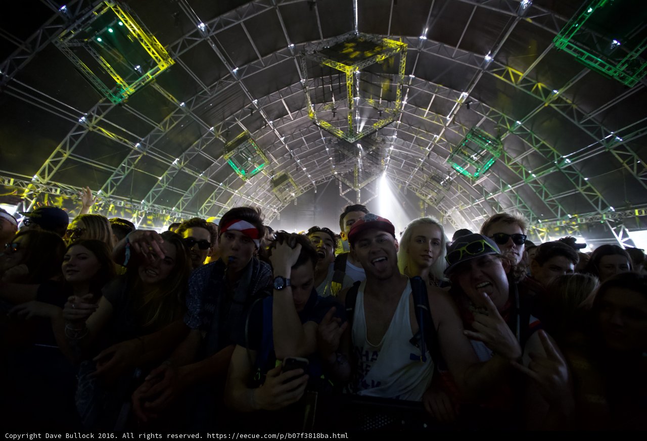 Electric Night