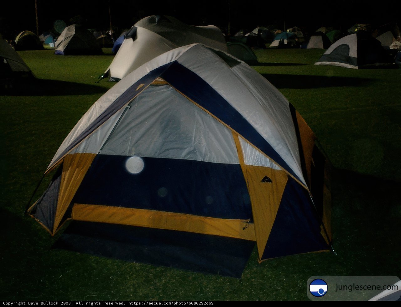 Camping Under the Stars