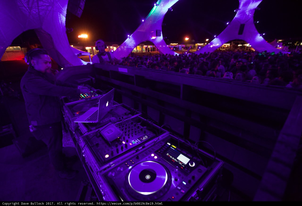 Purple Party Vibes