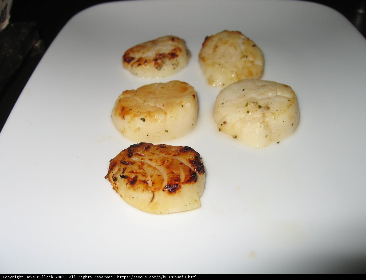 Four Scallops on a White Plate