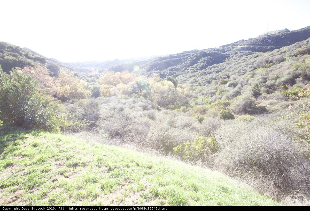 Serene Valley amidst Wilderness