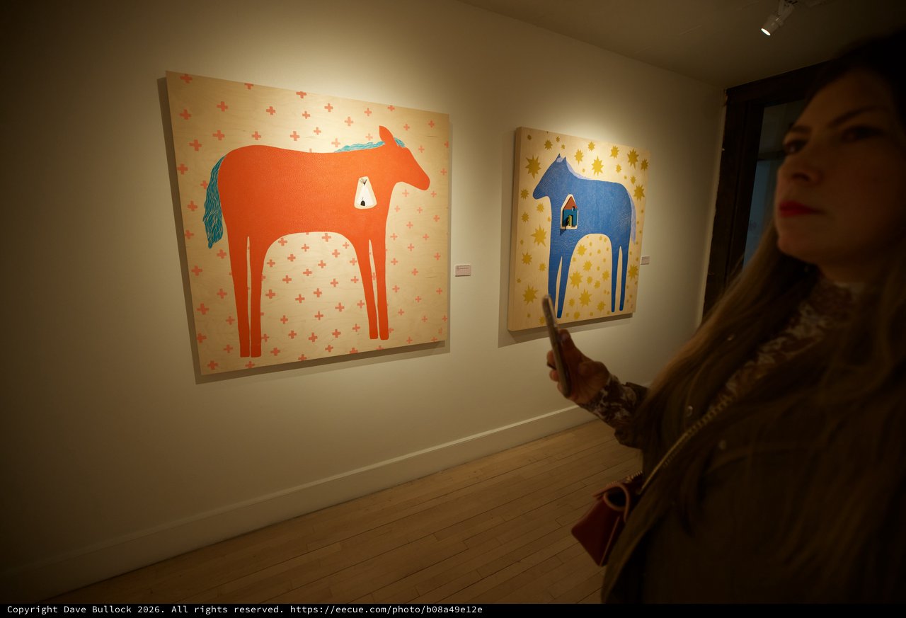 Woman Viewing Contemporary Horse Paintings in Art Gallery