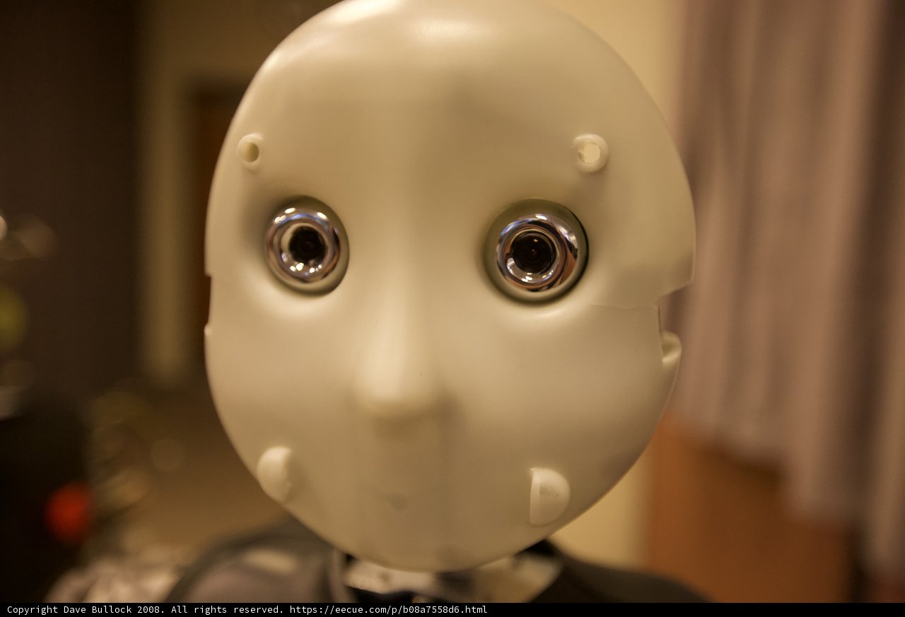 Plastic Robot Face