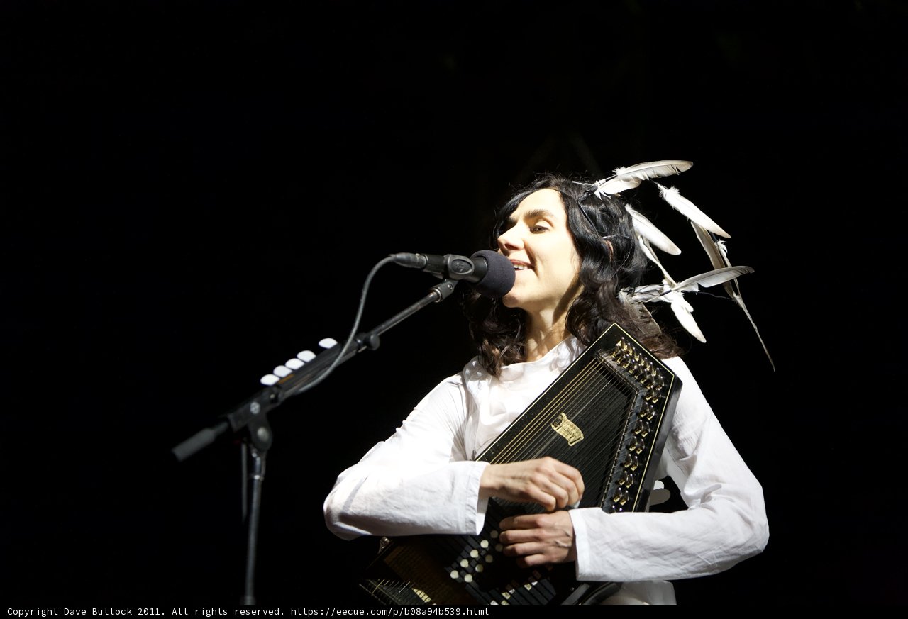 The Feathery Accordionist