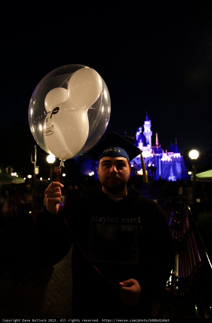 Magical Balloon Moments at Disneyland