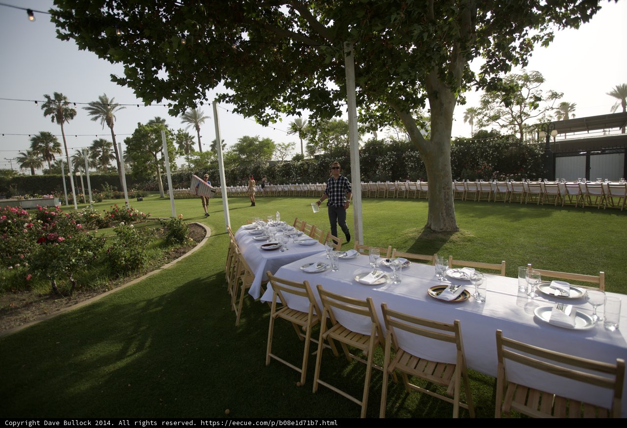 Dining under the trees