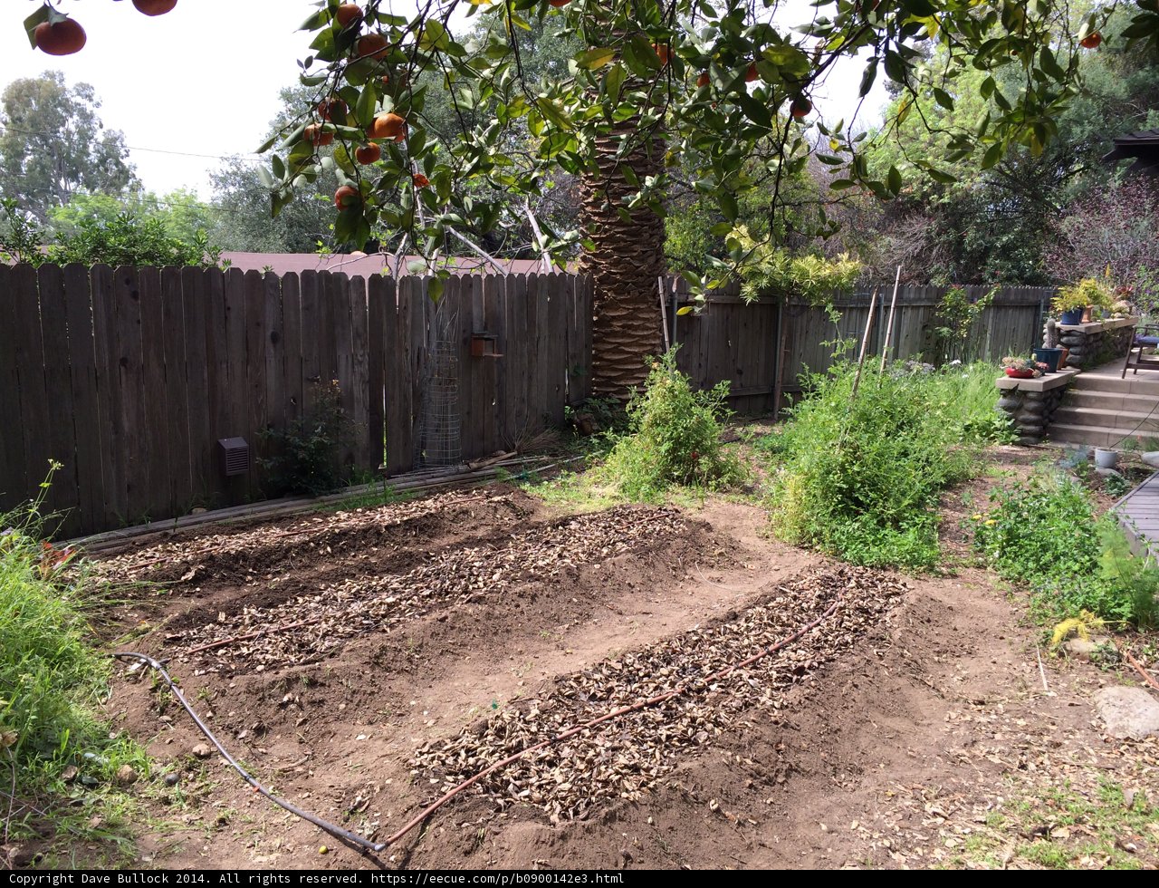 A Bountiful Backyard Garden