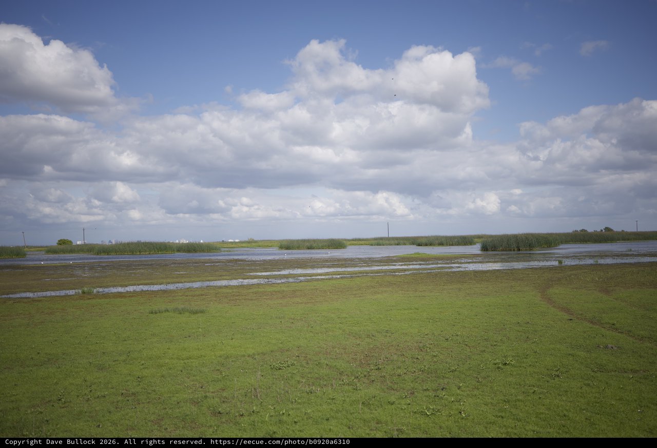 Flooded Wetlands Under Dramatic Spring Clouds