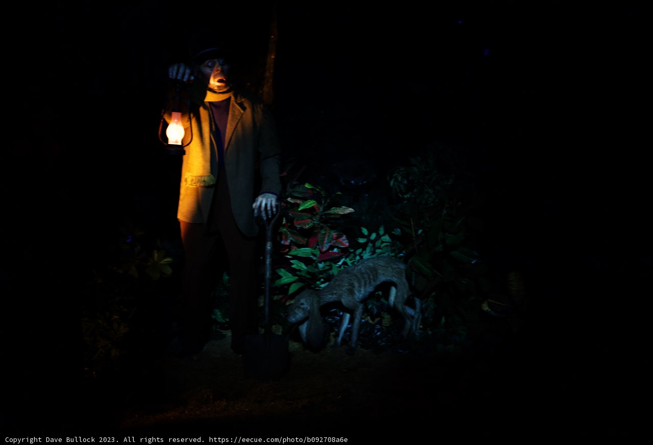 The Mysterious Lantern Holder