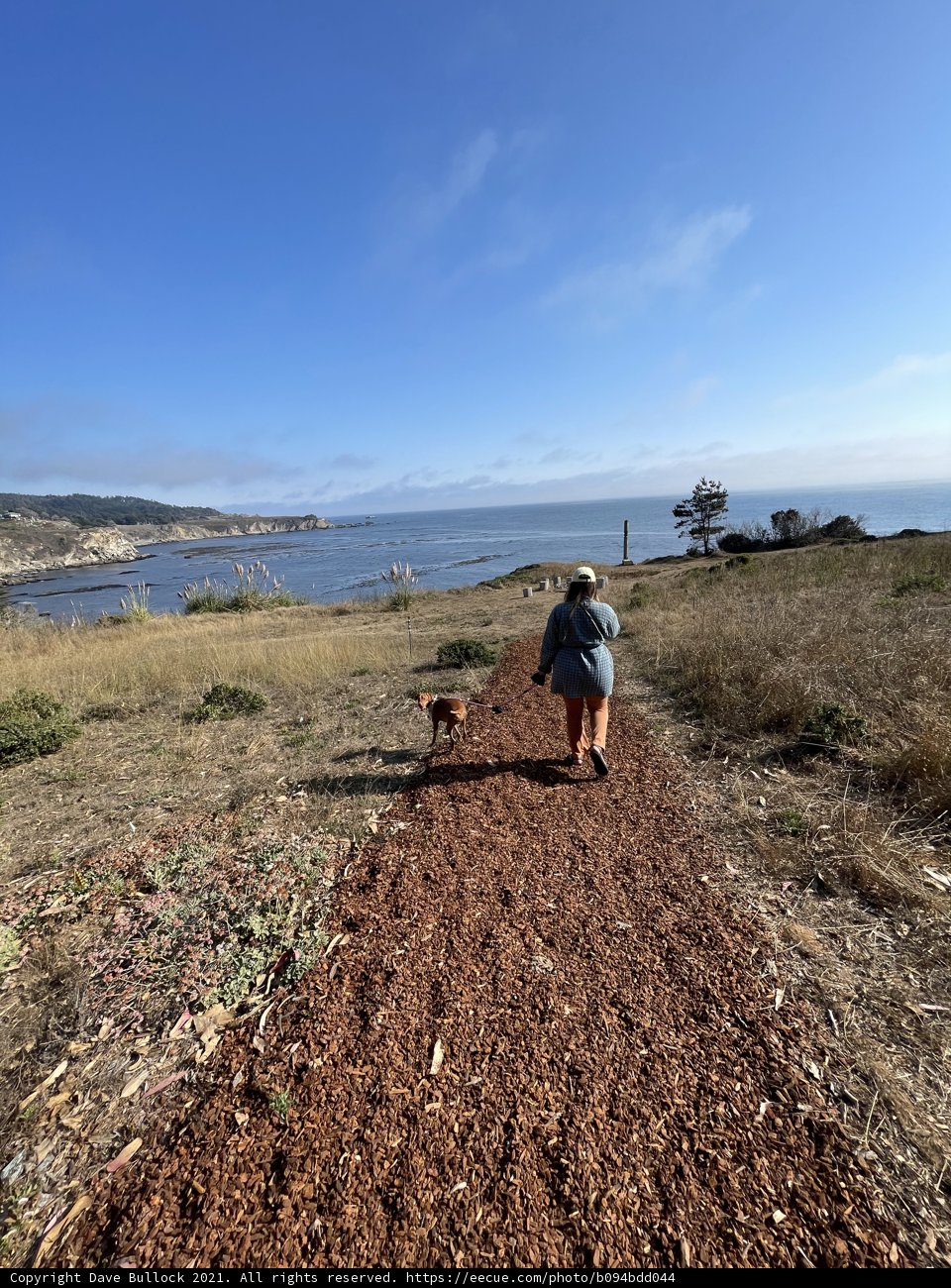 A Walk Along the Coastal Trail
