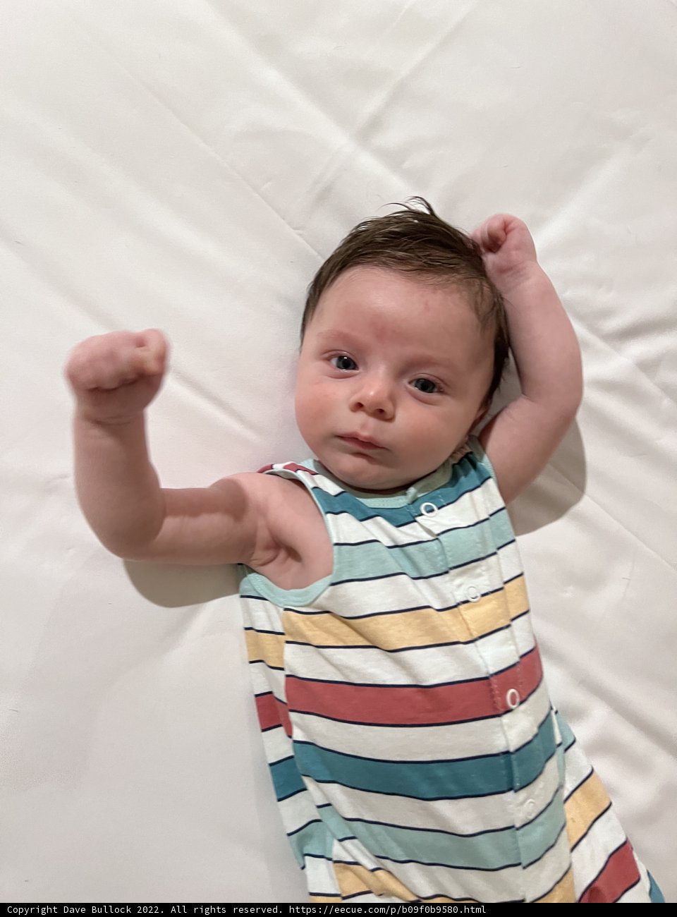 Little Rebel