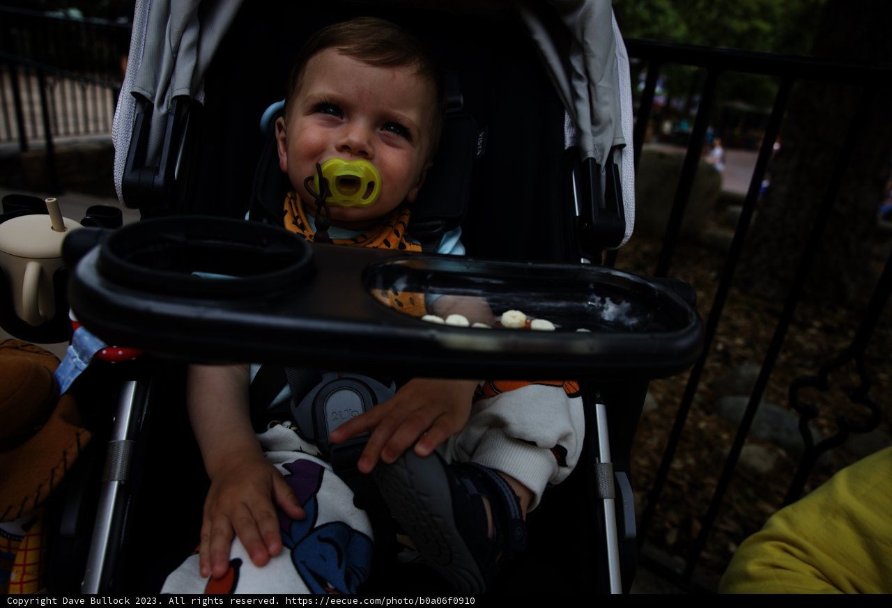 Baby's Day Out at Disneyland