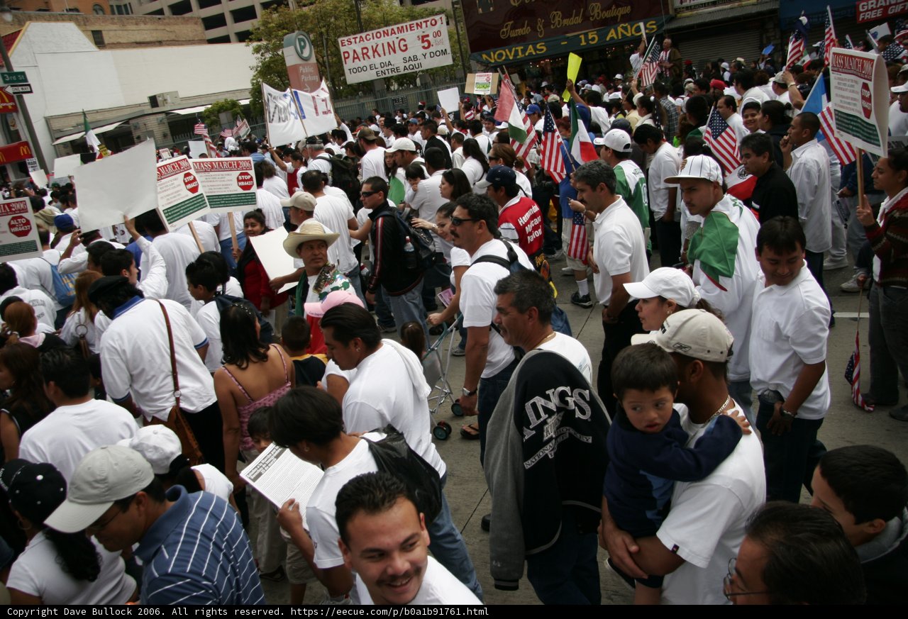 Unity in Diversity
