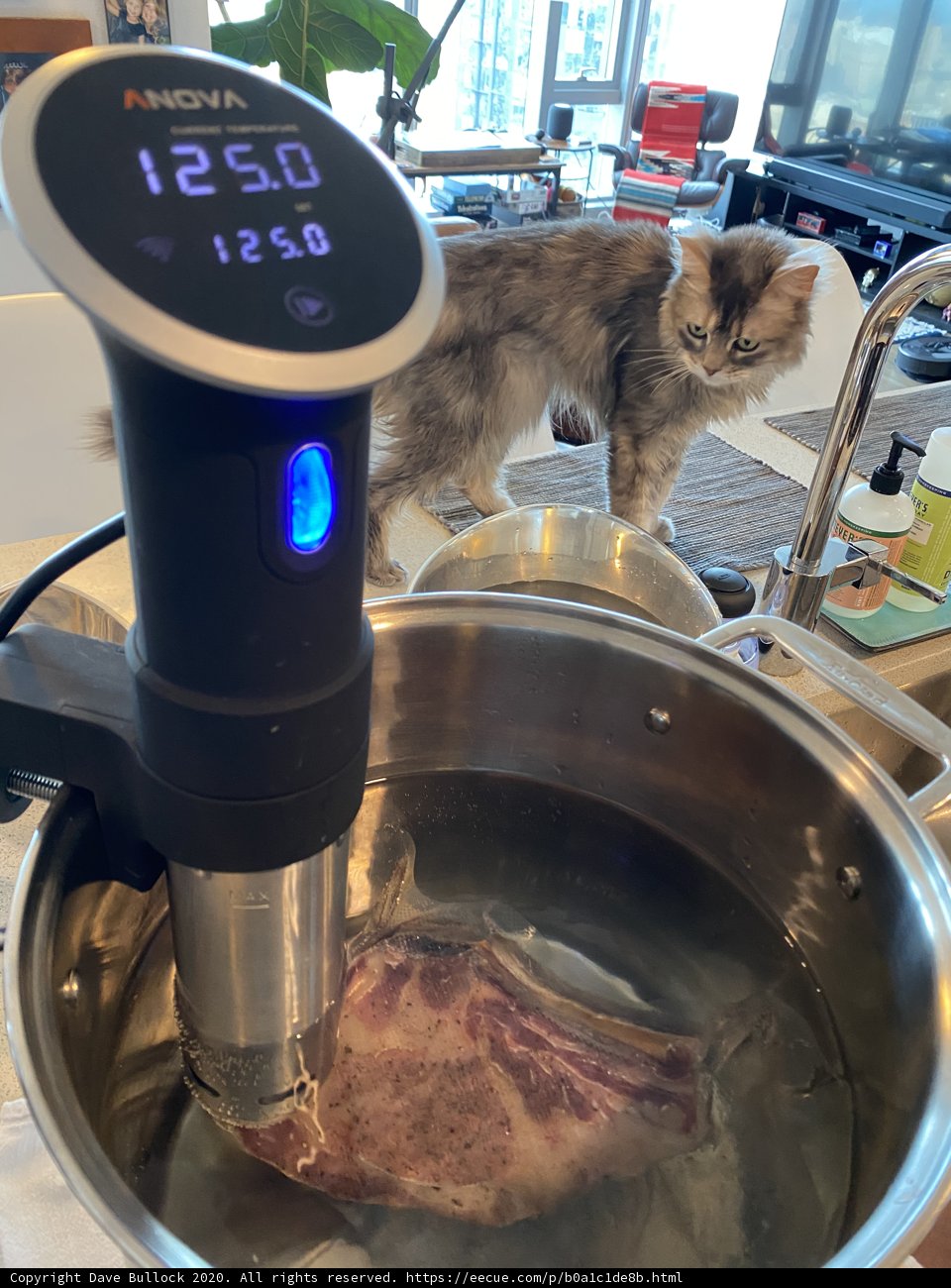 Kitchen Patrol