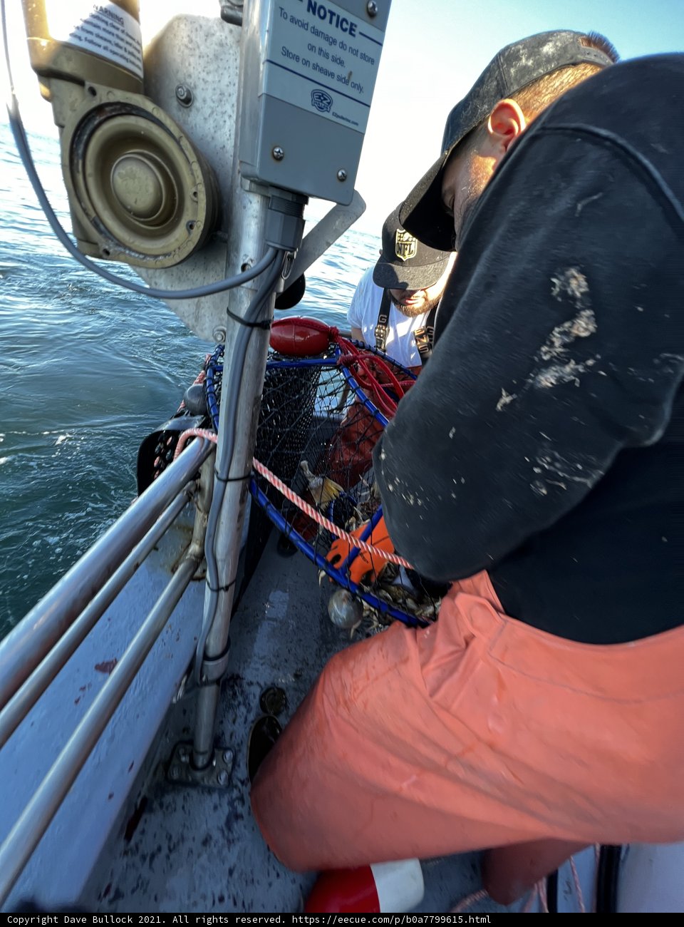 Working the Seas