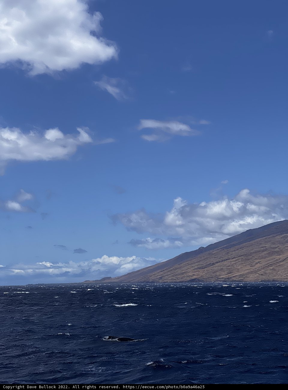 Majestic View of the Pacific Ocean