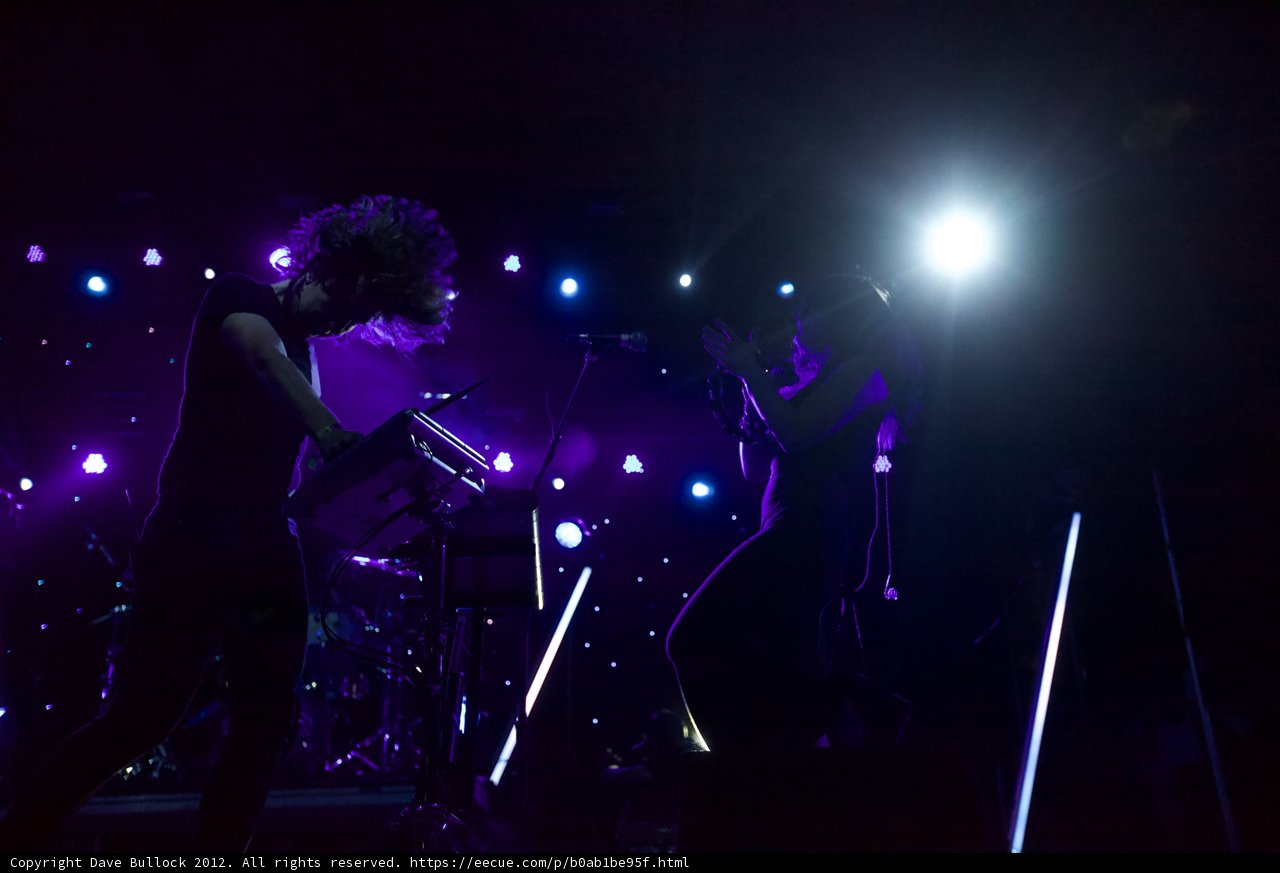 Purple Haze Performance