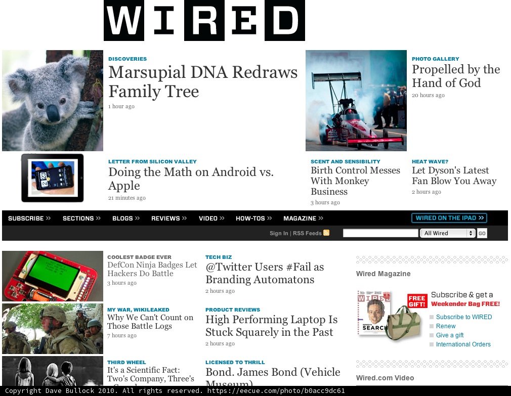 Wired Magazine features a Documentation of Bear Wildlife
