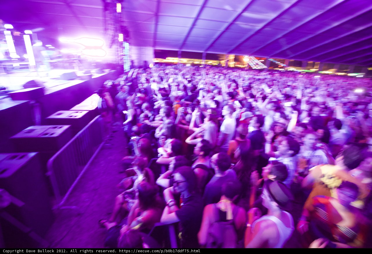 Purple Haze at Coachella