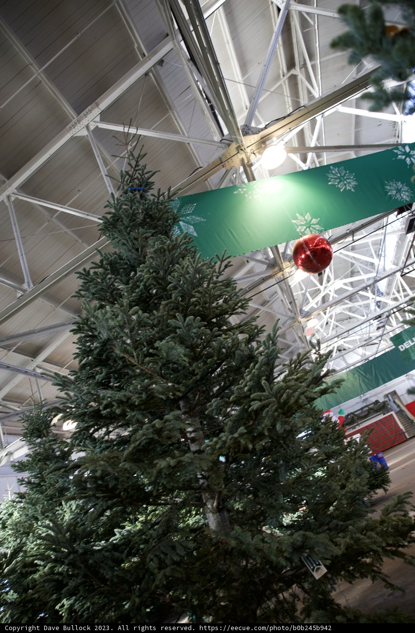 Christmas Festivities at Fort Mason