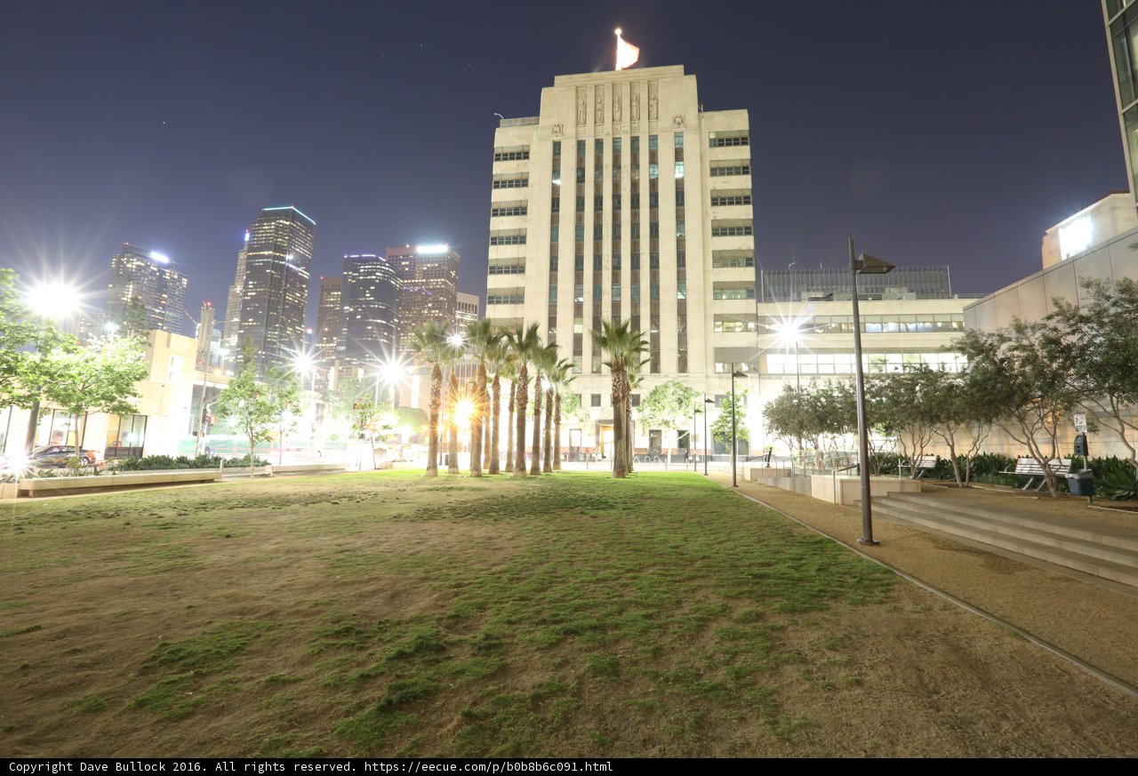 Nighttime in the Urban Jungle