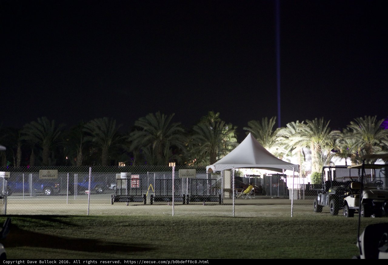 Summer Nights in the Palm Tree Tent