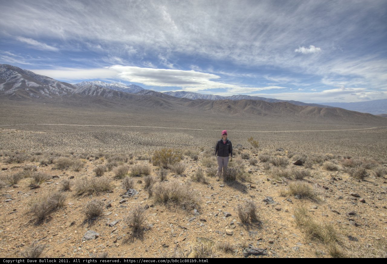 Alone in the Wilderness