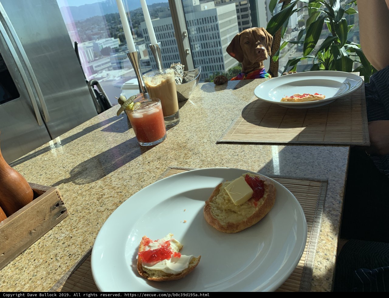 The Fine Dining Doggo