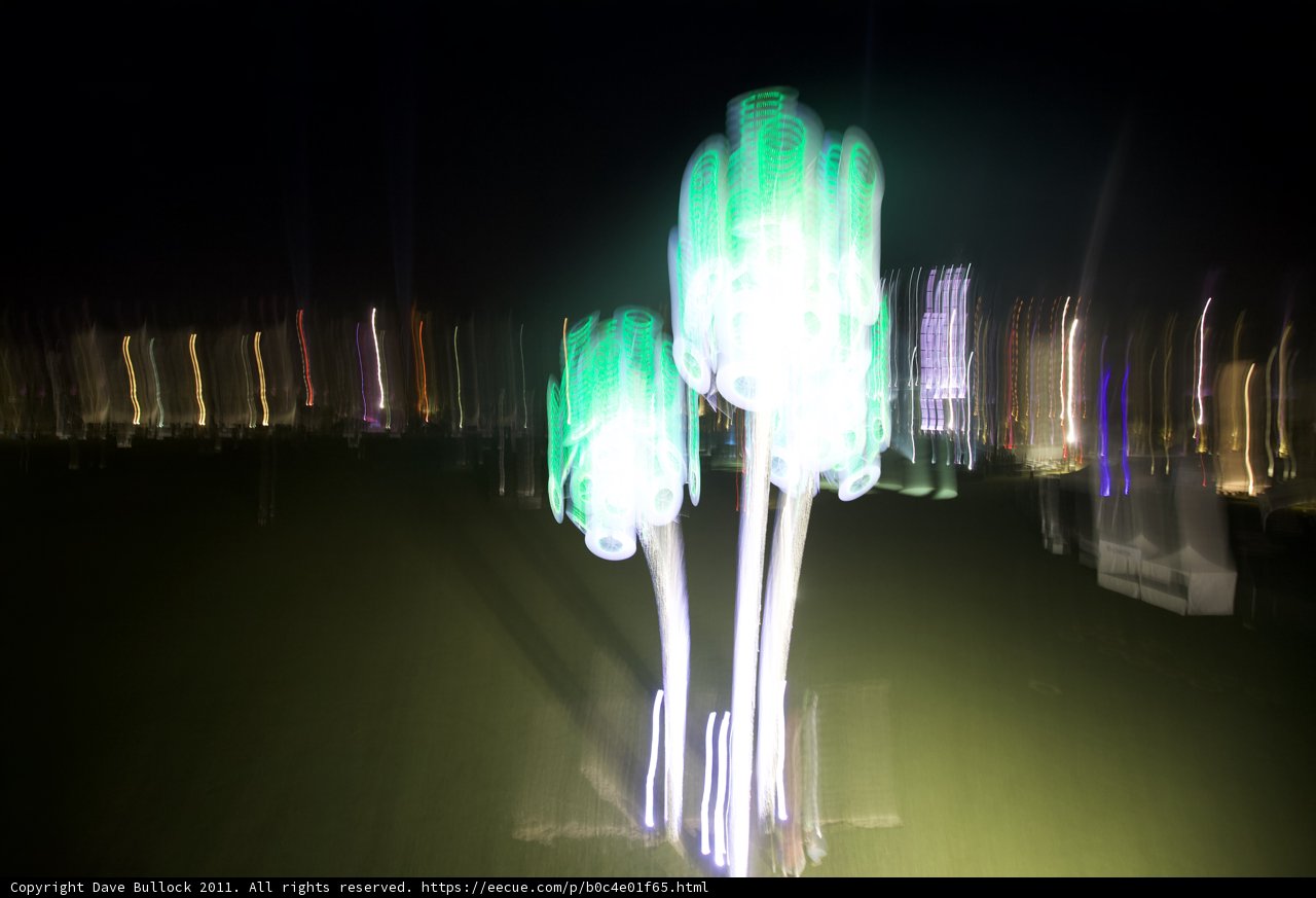 Illuminated Palm