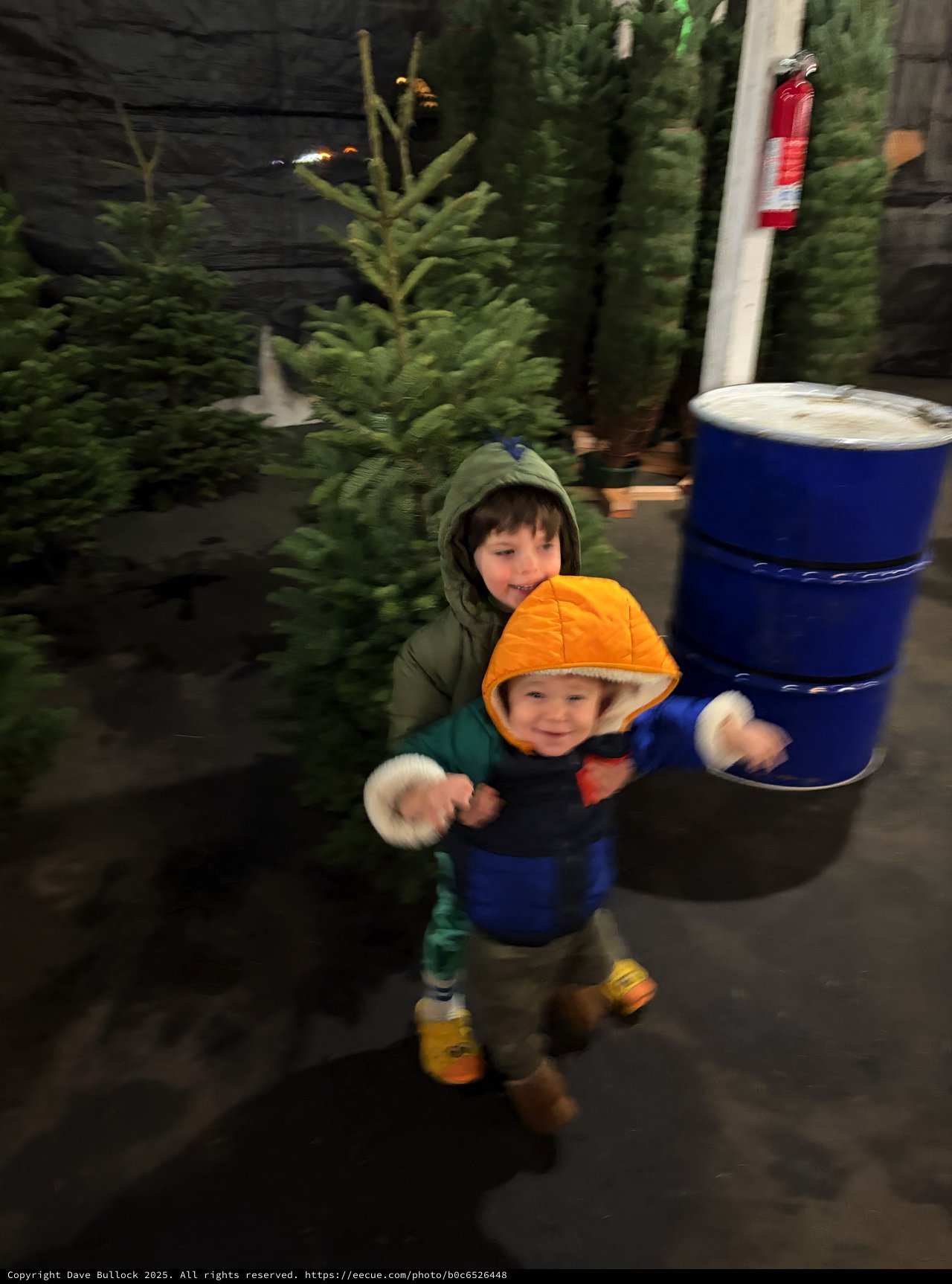 Two Children at Christmas Tree Lot Selection